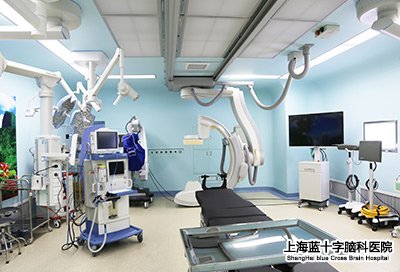 ȫ��(sh��)�ֻ�Hybrid-OR��(f��)�����g(sh��)��